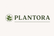 Plantora – Home